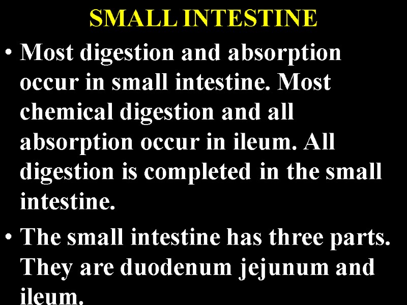 Most digestion and absorption occur in small intestine. Most chemical digestion and all absorption